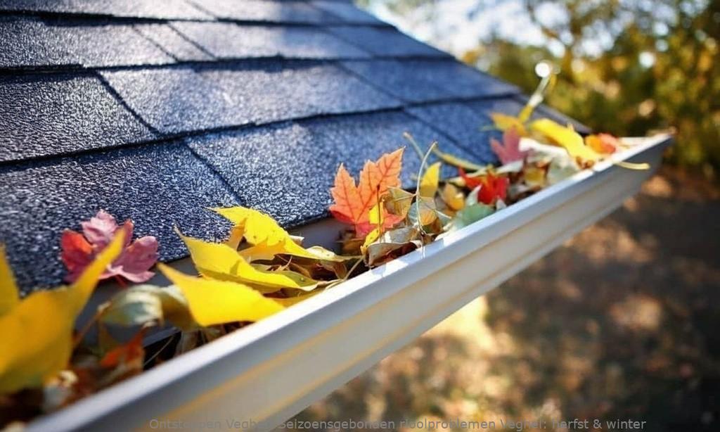 Seizoensgebonden rioolproblemen Veghel: herfst & winter
